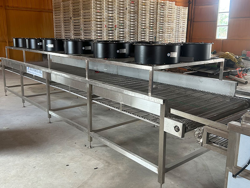 Ningxia daylily processing site